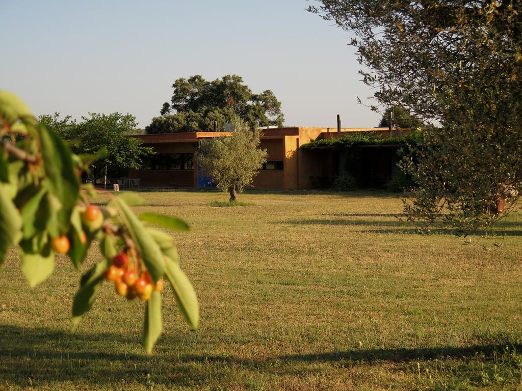 Hotel Fundacio L'Olivar Sant Pere Pescador Kültér fotó